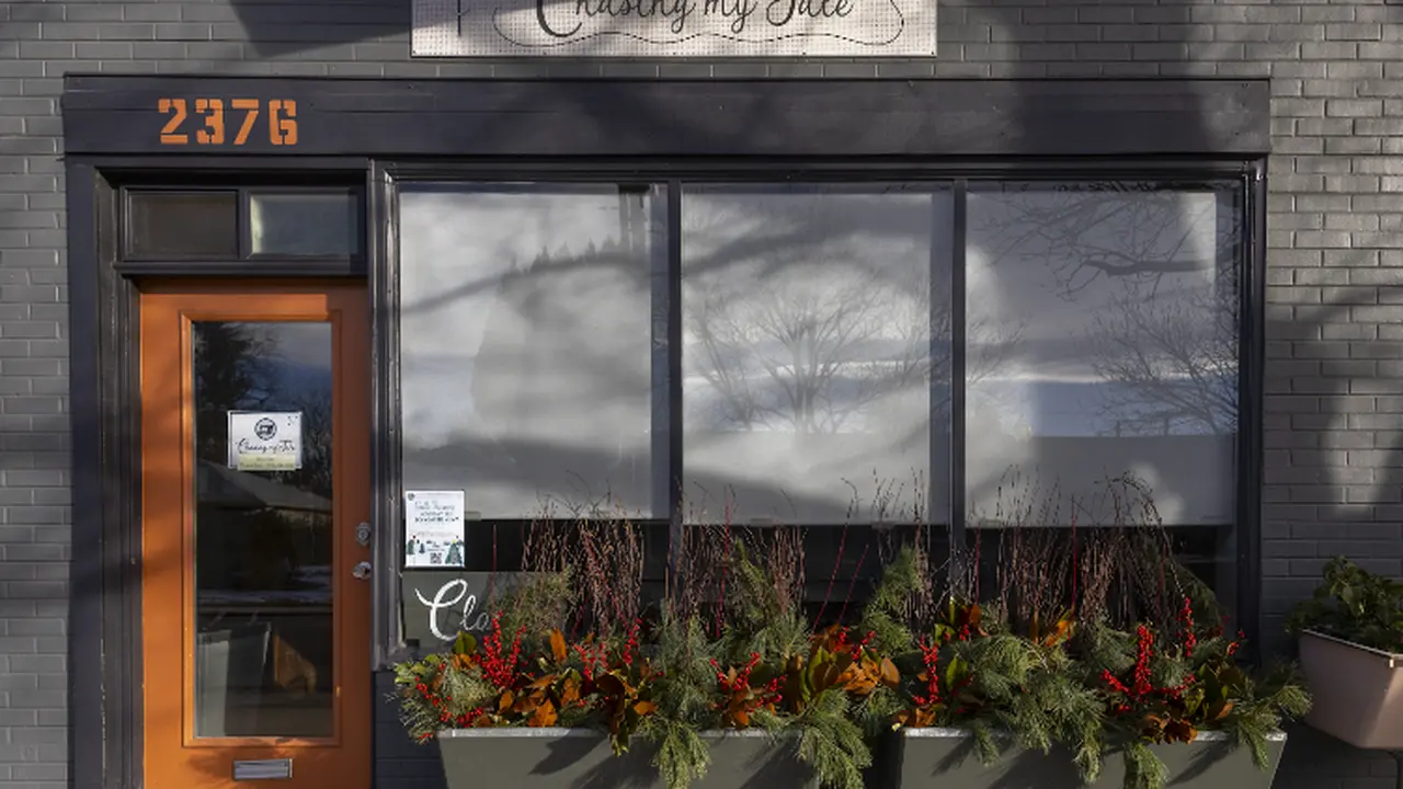 Fabric store in Denver, CO: Chasing My Tale