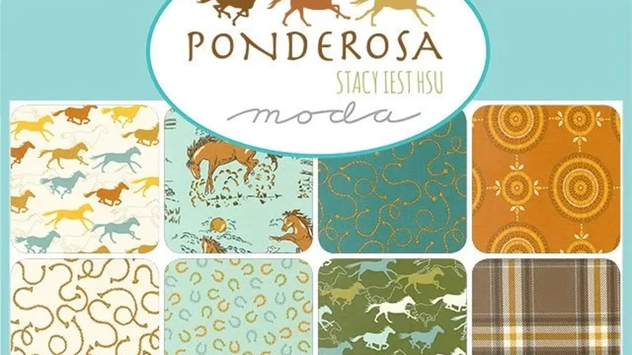 Fabric store in Julesburg, CO: MDQ Designs - Mother Daughter Quilt Shop