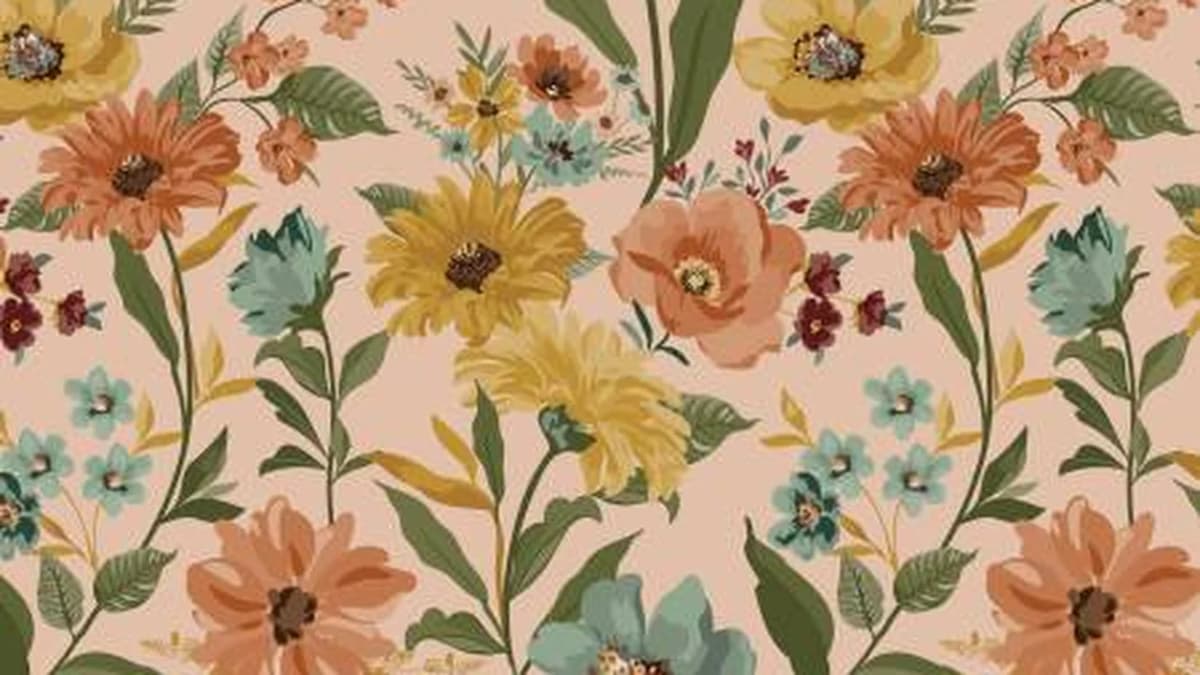 Fabric store in Kannapolis, NC: Sewing in Carolina (Kannapolis)