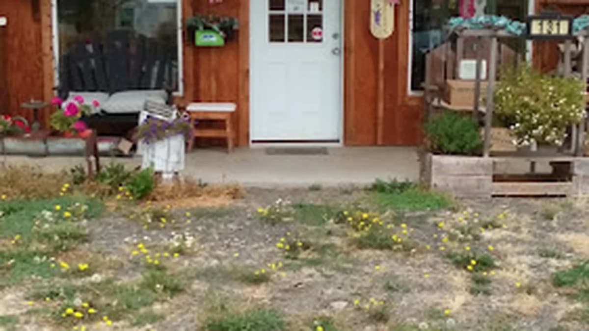 Fabric store in Mossyrock, WA: Kathy's Kountry Fabrics
