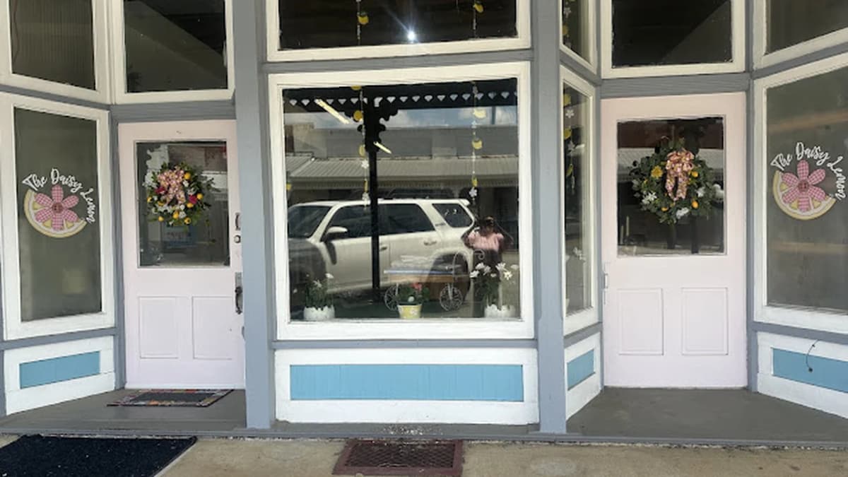 Fabric store in Sasser, GA: The Daisy Lemon, LLC