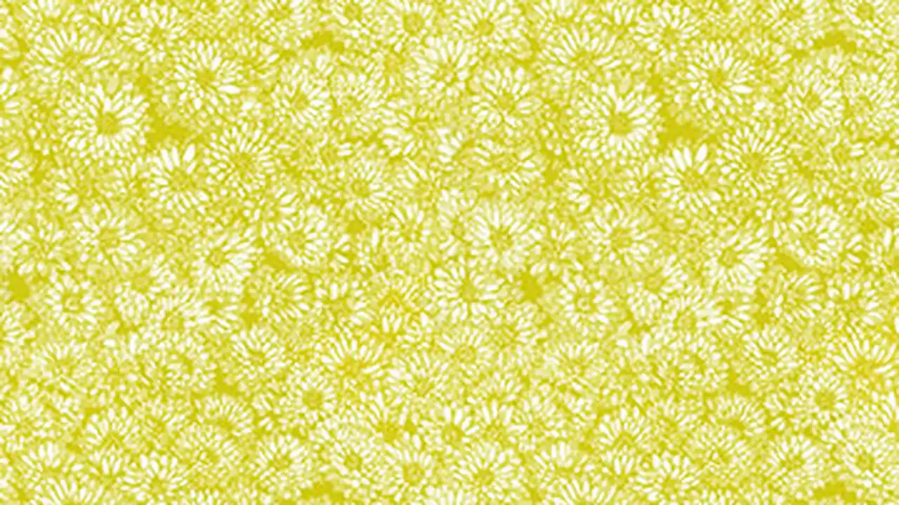 Fabric store in Slidell, LA: Sew Northshore