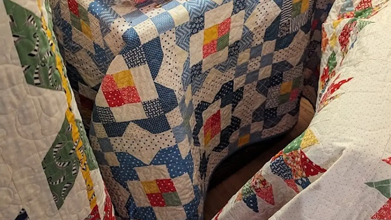 Fabric store in Walnut Creek, CA: American Jane Patterns